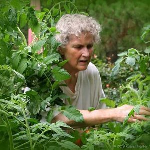 Meet your Posher, Peggy